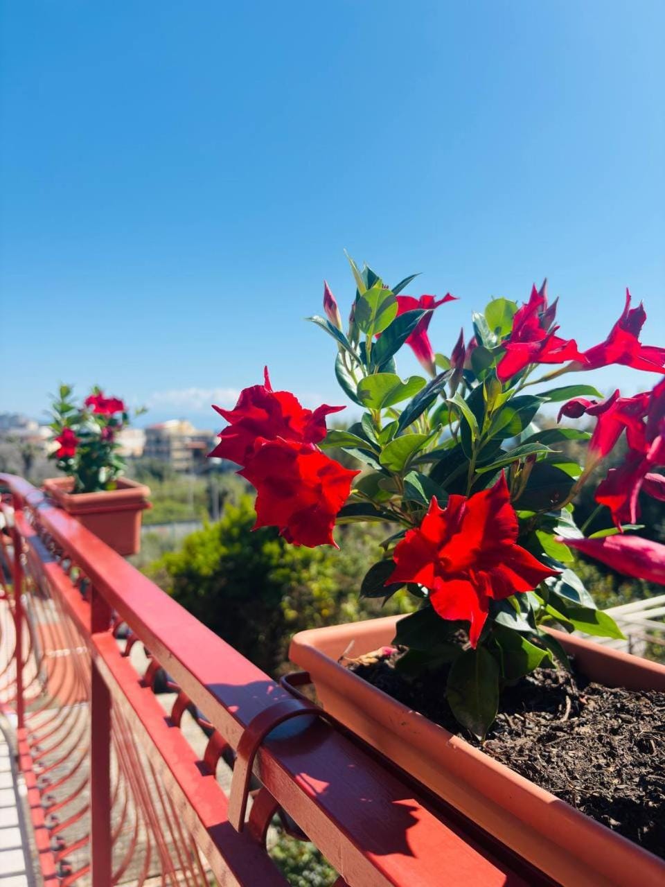 Day, View (from property/room), Balcony/Terrace