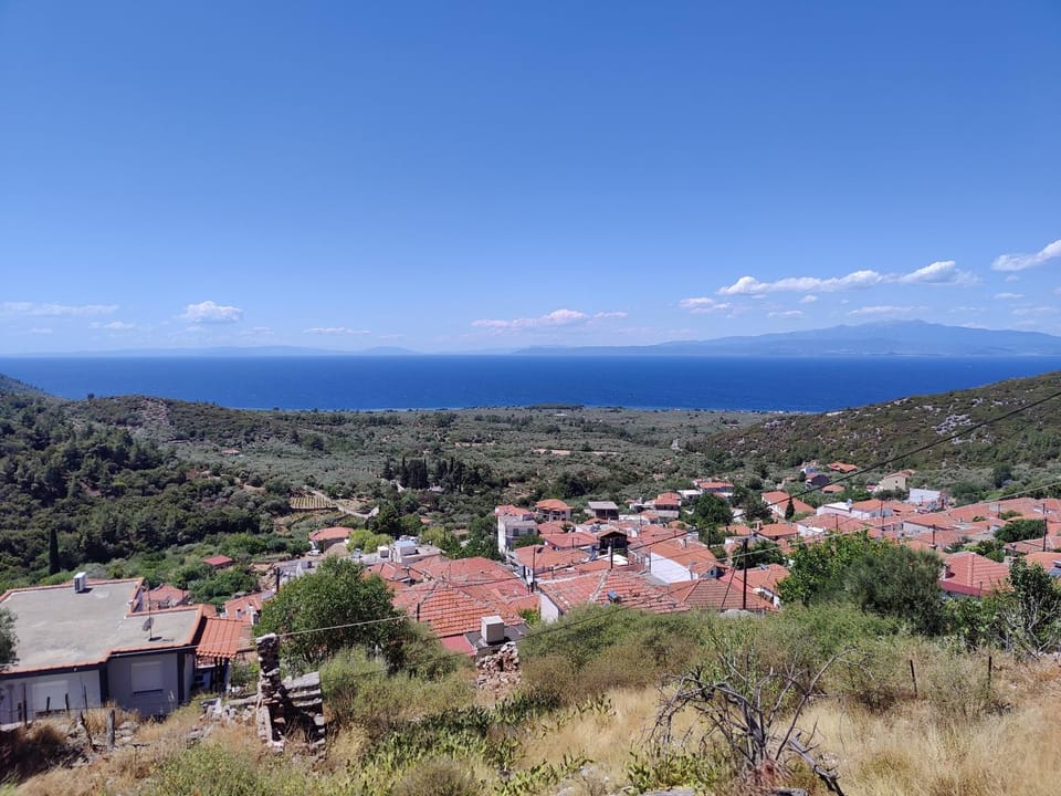 View (from property/room)