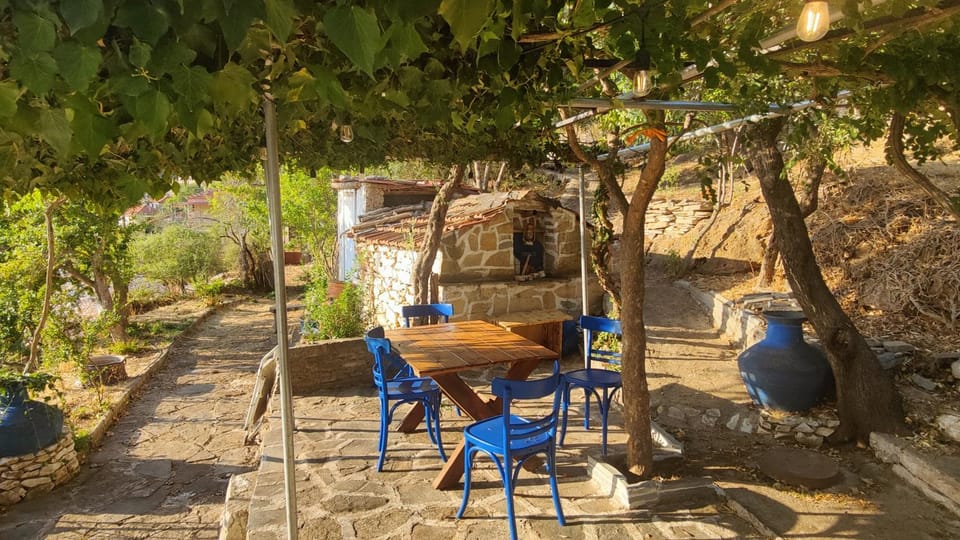 Patio, Garden, Dining area, Garden view