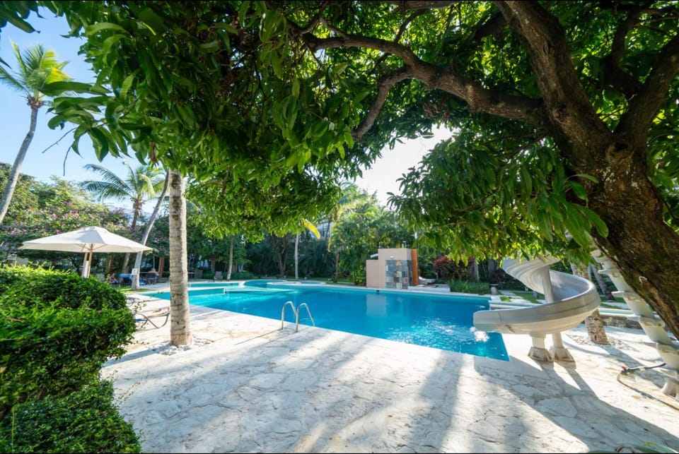 Garden view, Swimming pool, sunbed