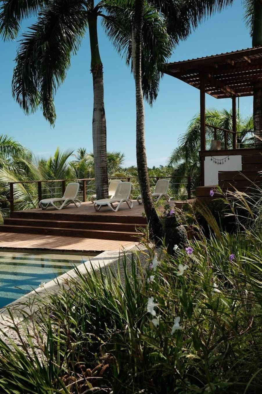 Garden, Garden view, Pool view, Swimming pool, sunbed