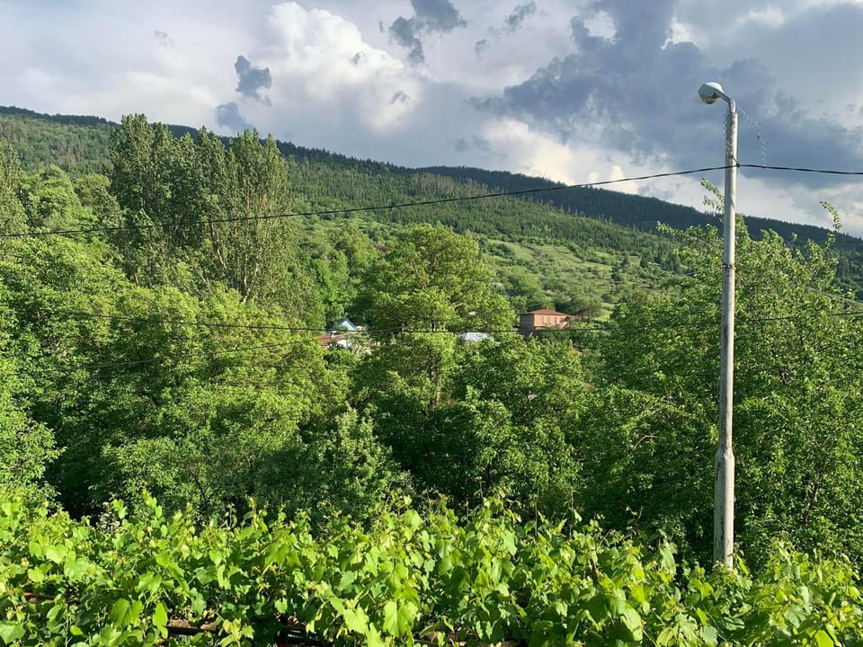 Mountain view