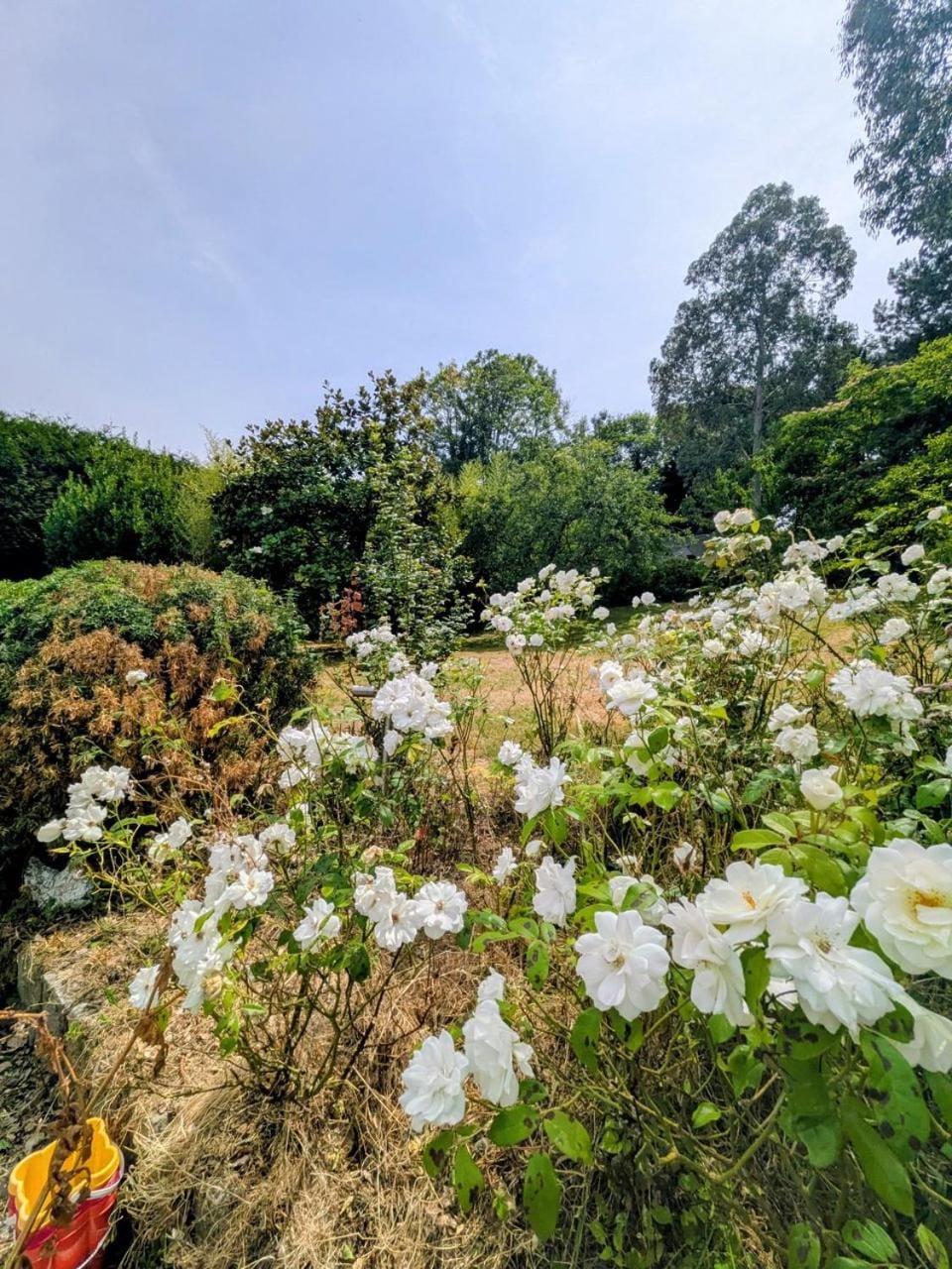 Villa Julia Marie - Villa familiale avec jardin - Saint-Valéry-en-Caux Bed and Breakfast in Saint-Valery-en-Caux
