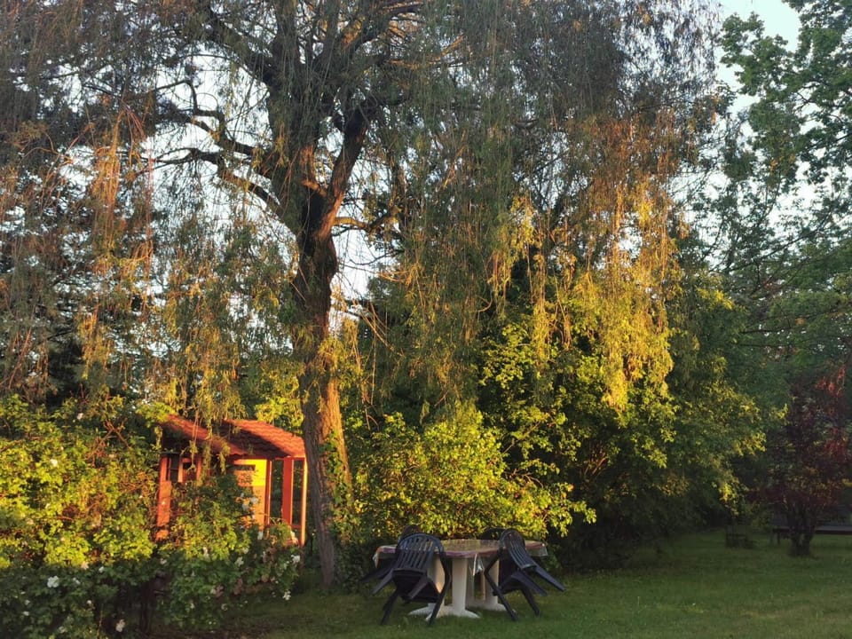 Garden, View (from property/room)