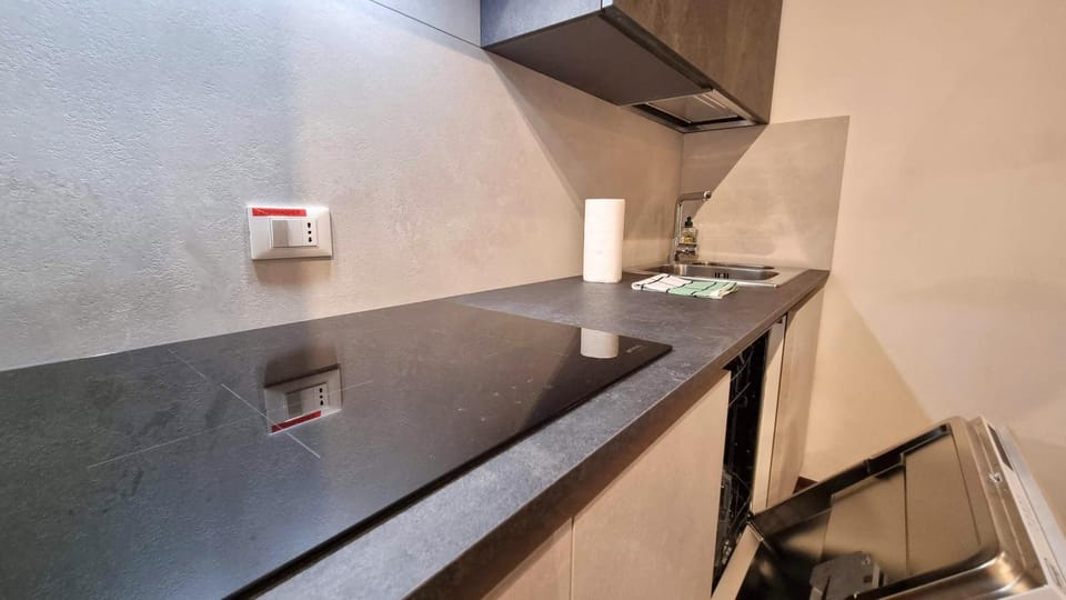 Kitchen or kitchenette, dishwasher