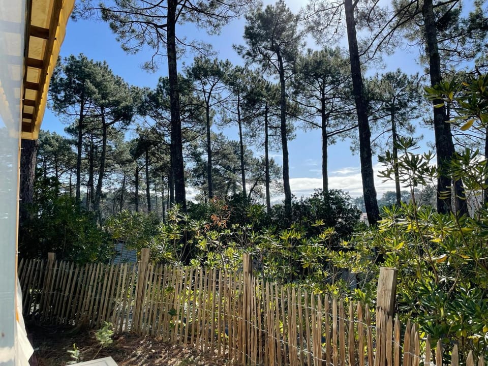 Maison mobilhome sans vis à vis au calme et en hauteur Campground/ 
RV Resort in Lege-Cap-Ferret