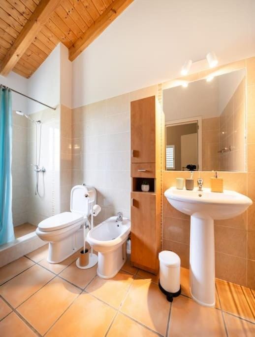 Shower, Toilet, Bathroom, Bath, bidet