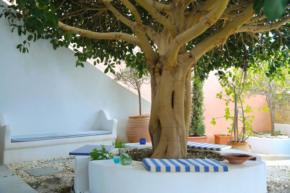 Garden, Seating area, Garden view