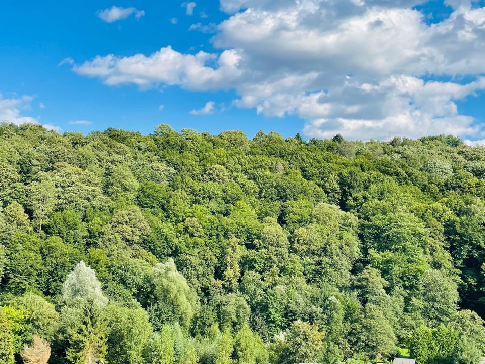 Willa Solina Farm Stay in Slovakia