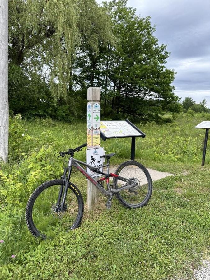 Cycling
