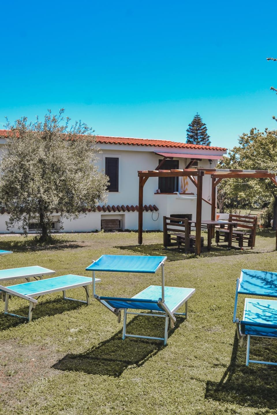 Garden, City view