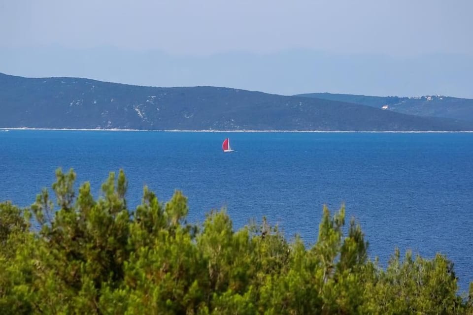 Apartments Meri Apartment in Zadar County