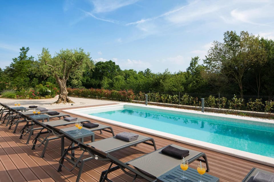 Day, Natural landscape, Garden, Garden view, Pool view, Swimming pool, sunbed
