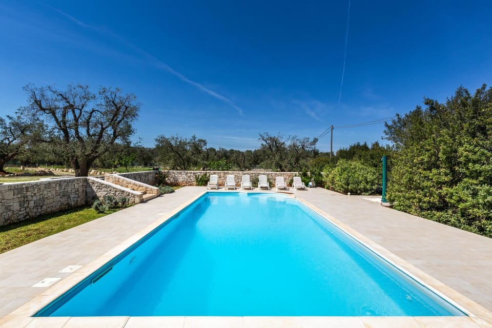 Garden, Swimming pool, sunbed