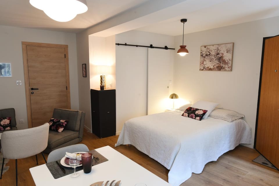 Albarine-2 pers-wifi-cosy-confort-bien-être Apartment in Oyonnax