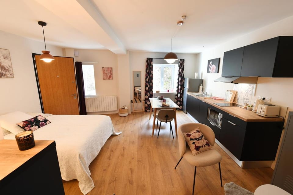 Albarine-2 pers-wifi-cosy-confort-bien-être Apartment in Oyonnax