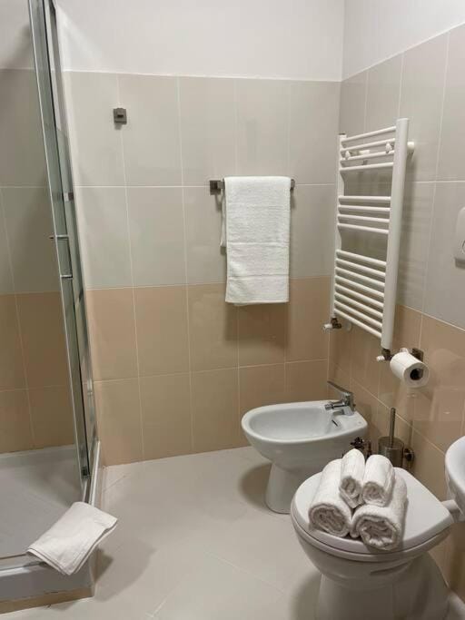 Shower, Toilet, Bathroom, bidet, towels