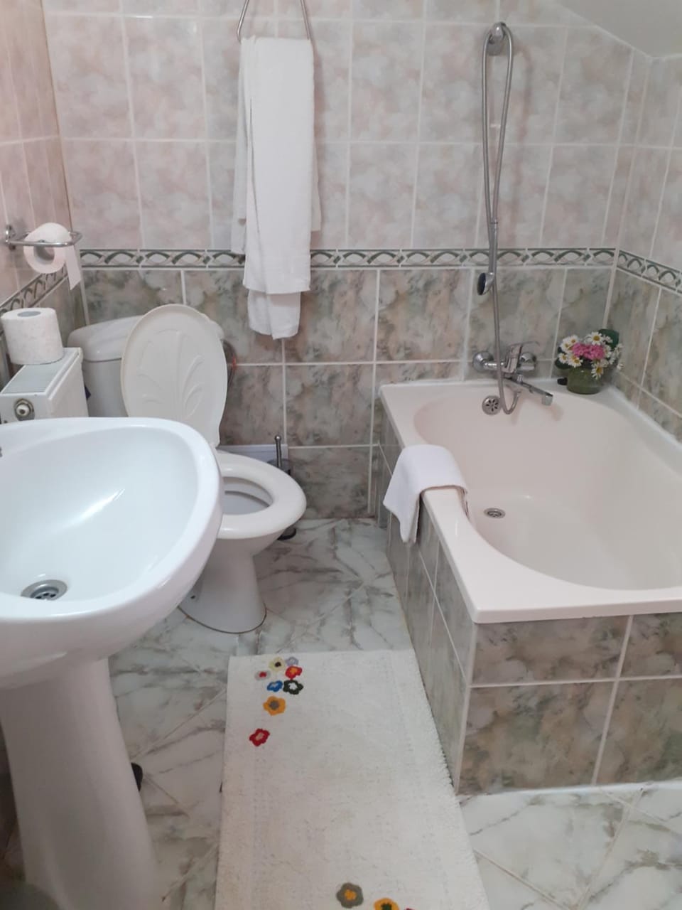 Pensiunea Floare de Colt Bed and Breakfast in Sinaia