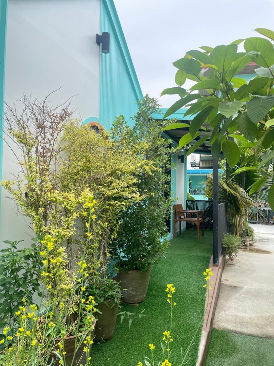 Garden view