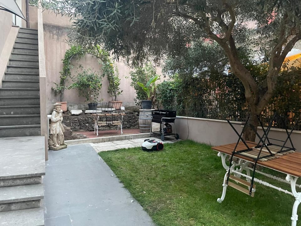 Garden, Seating area, Dining area