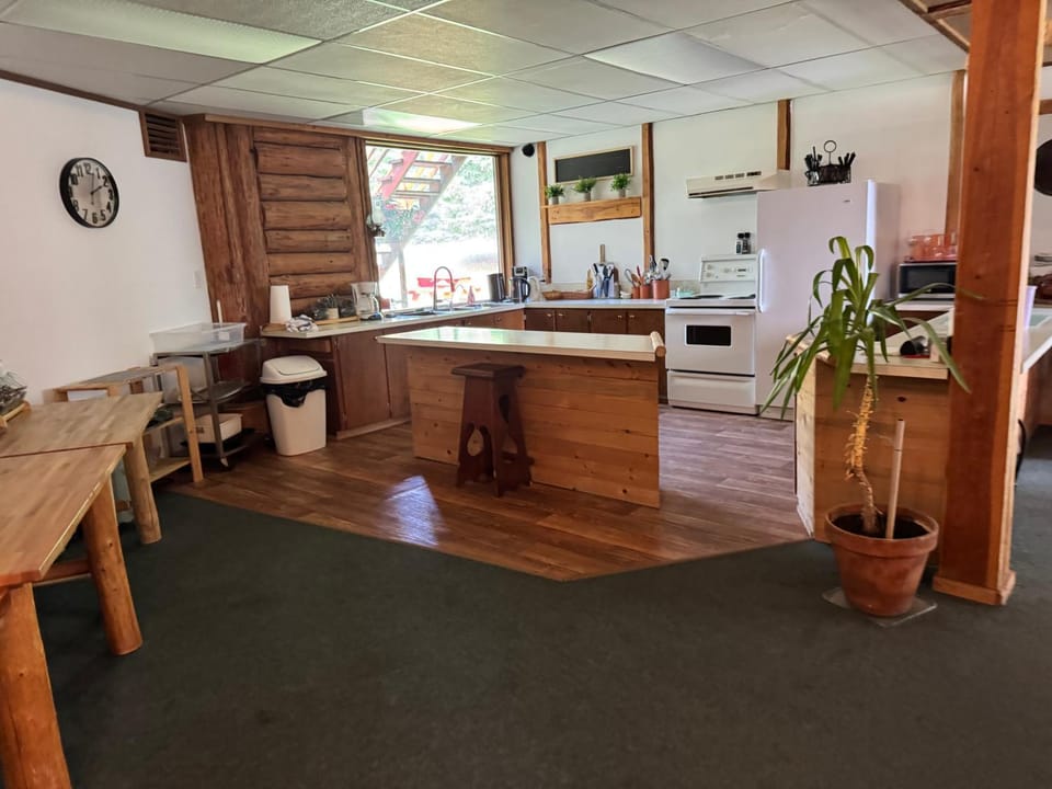 Kitchen or kitchenette, oven, stove