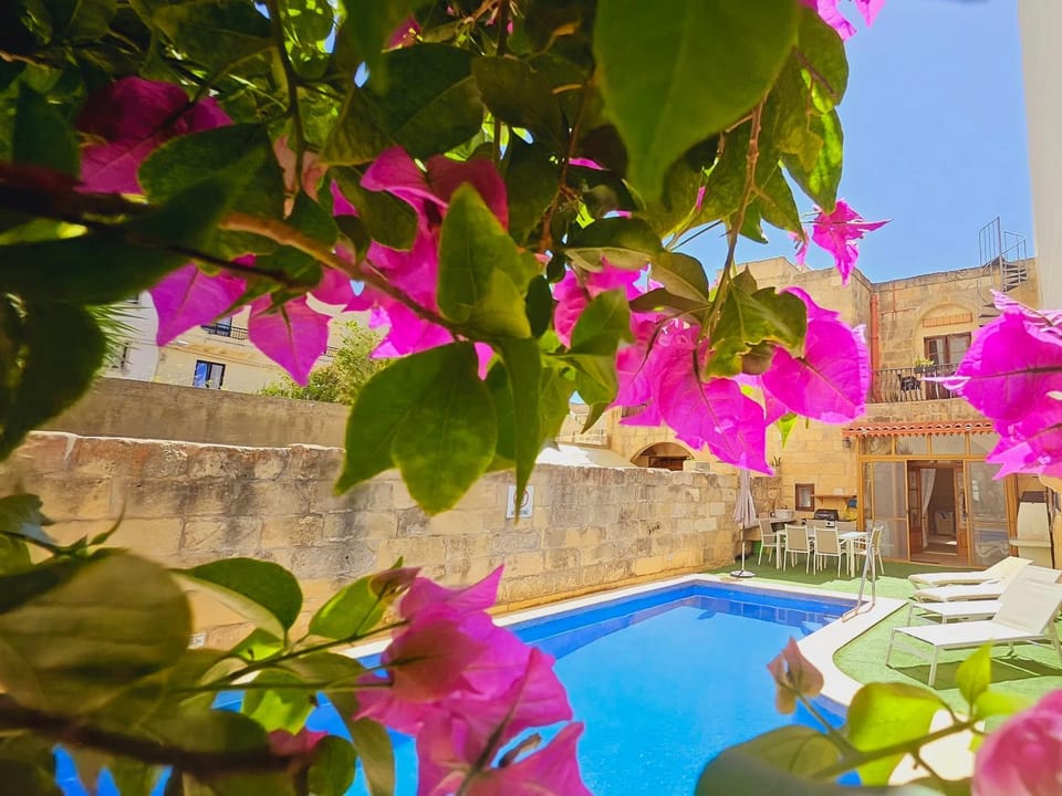 Spring, Day, Garden, Garden view, Pool view, Swimming pool