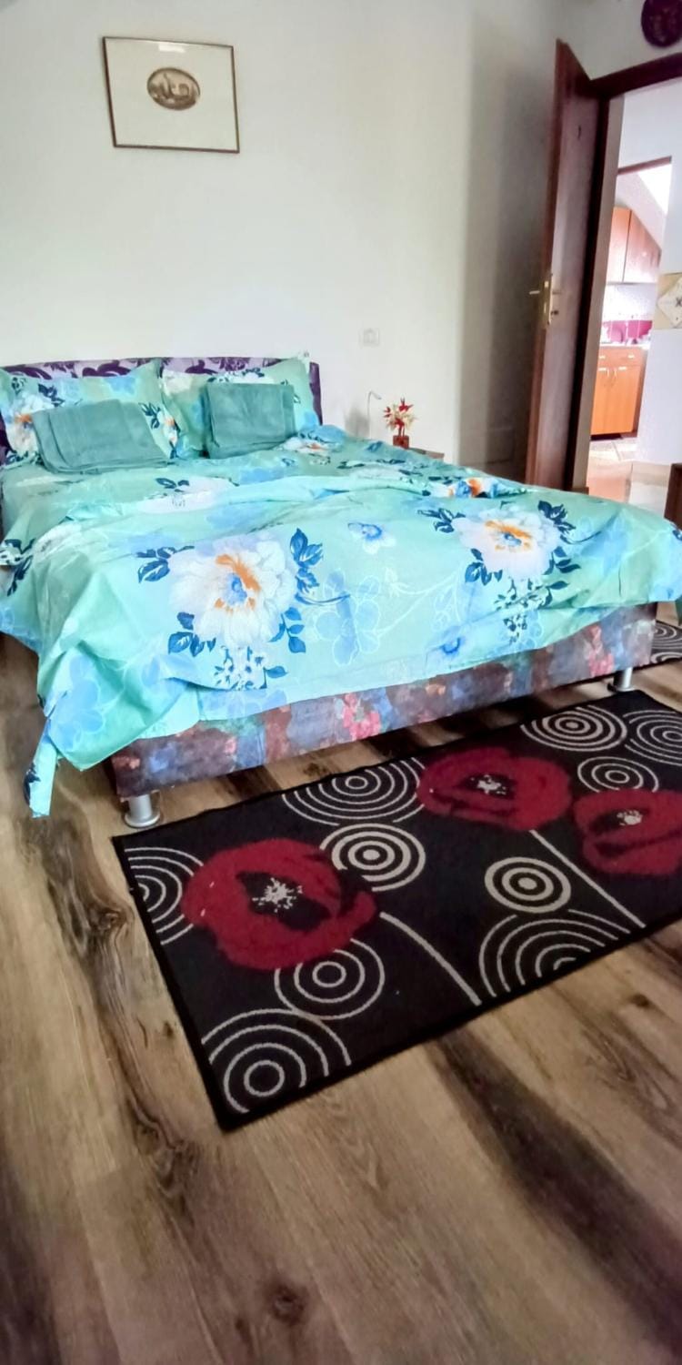Four Season Apartament Apartment in Moldova