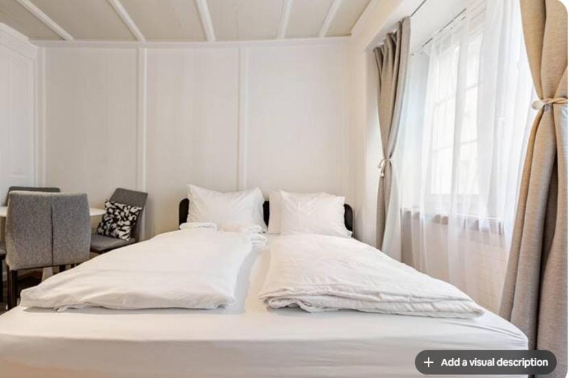 City Center Apt With AC in Zurich Old Town Apartment in Zurich City