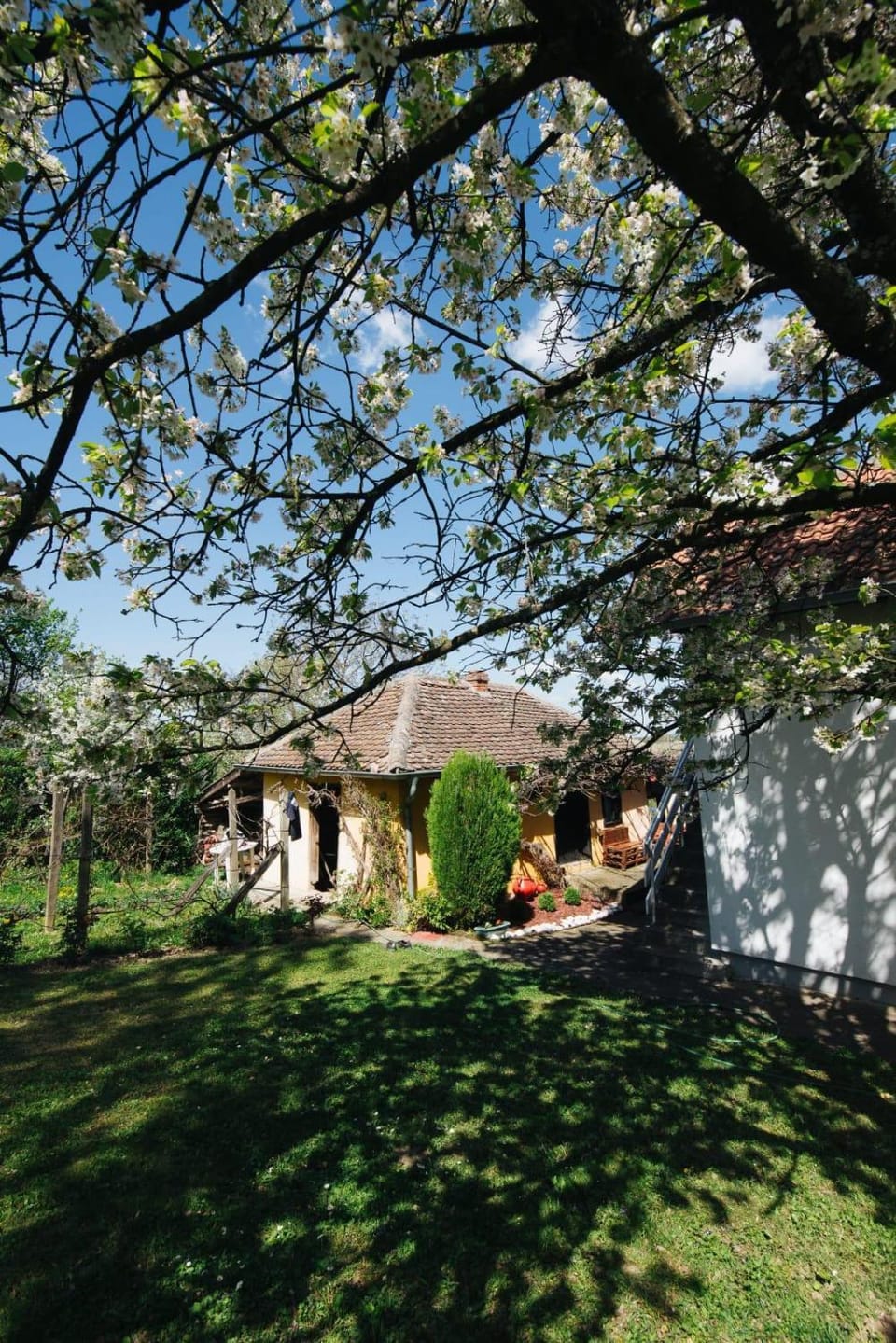Property building, Spring, Day, Garden, Garden view