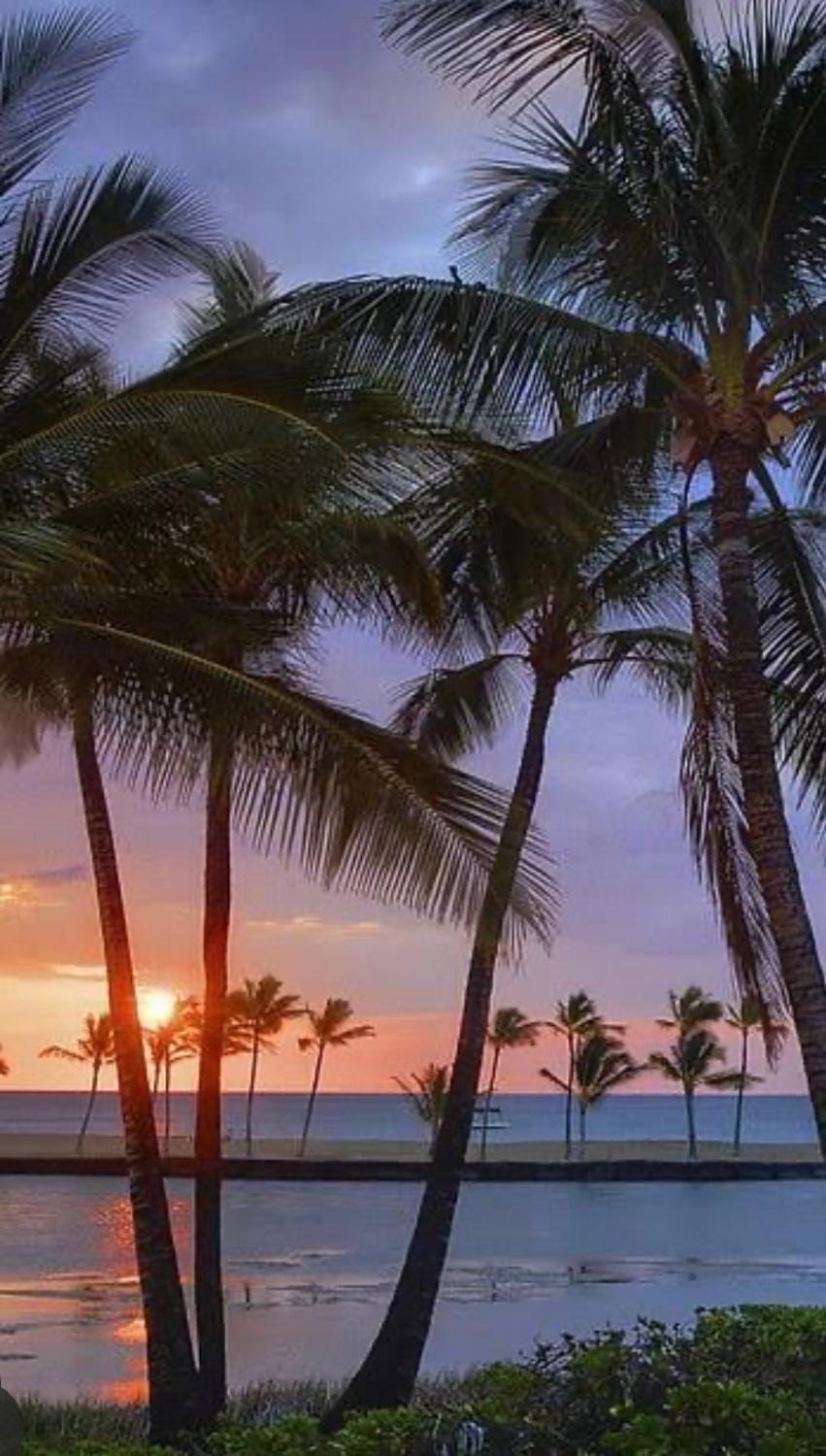 Natural landscape, Sunrise, Sunset
