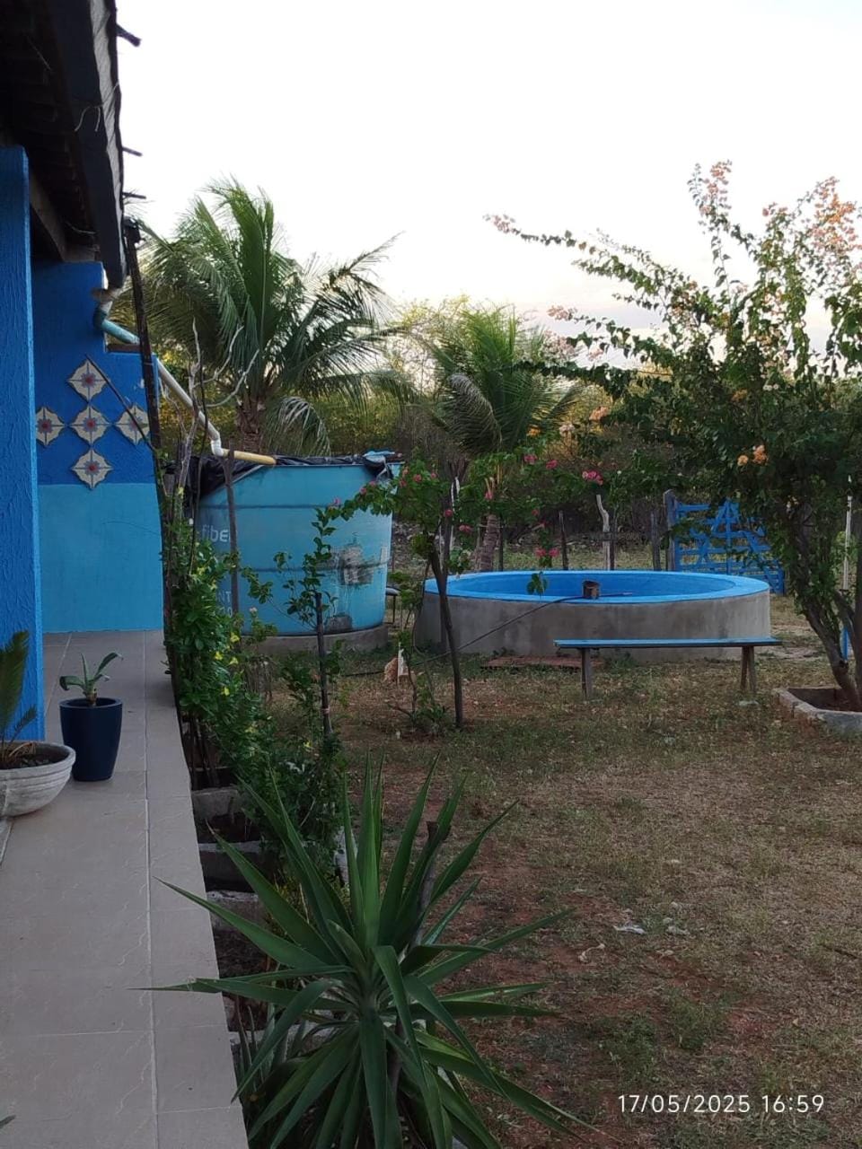 Day, Garden, Garden view, Pool view, Swimming pool, Swimming pool
