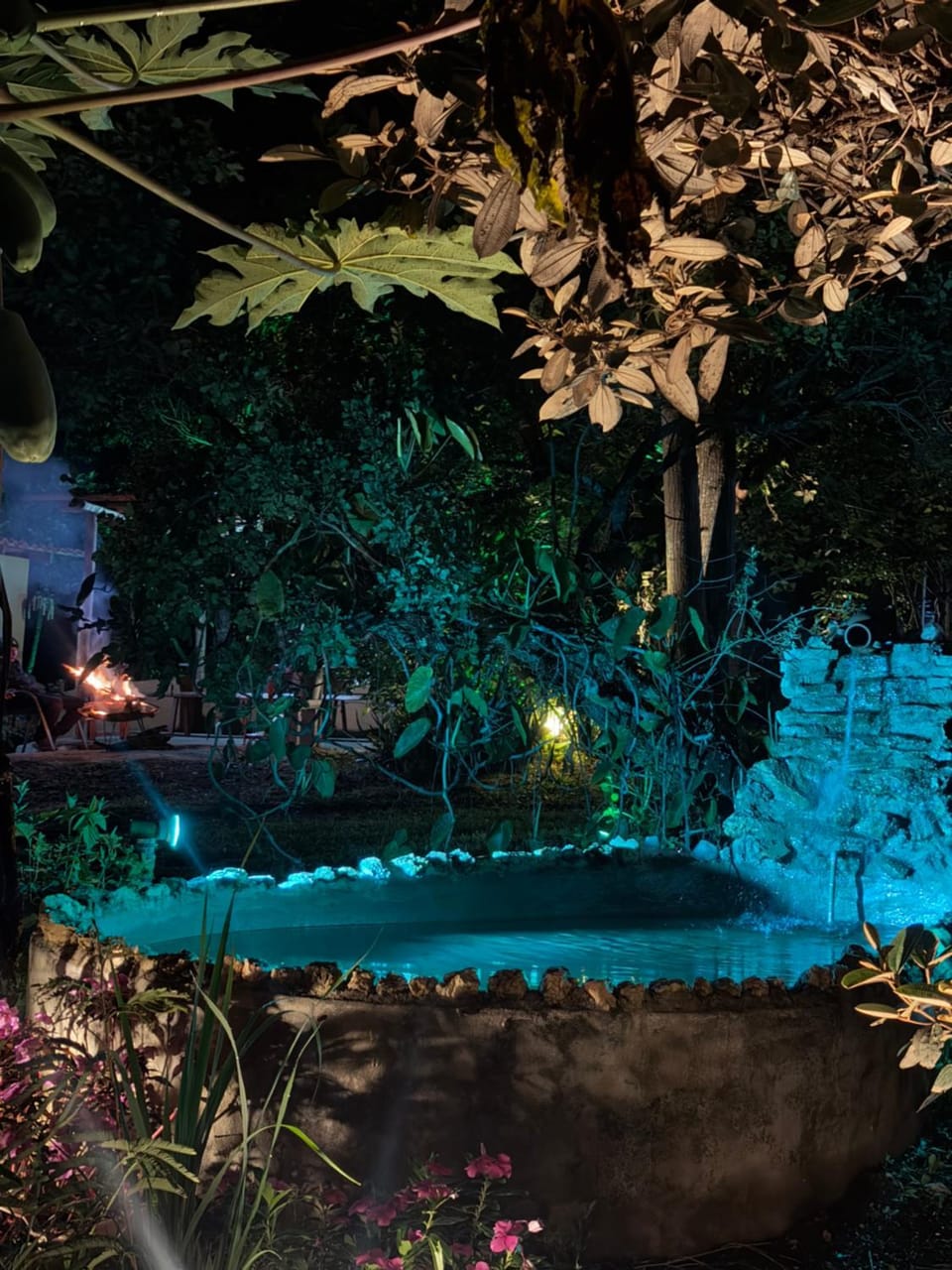 Night, Natural landscape, Garden, Garden view