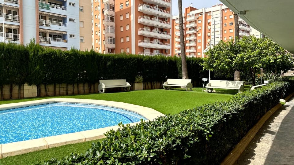 Garden, Swimming pool