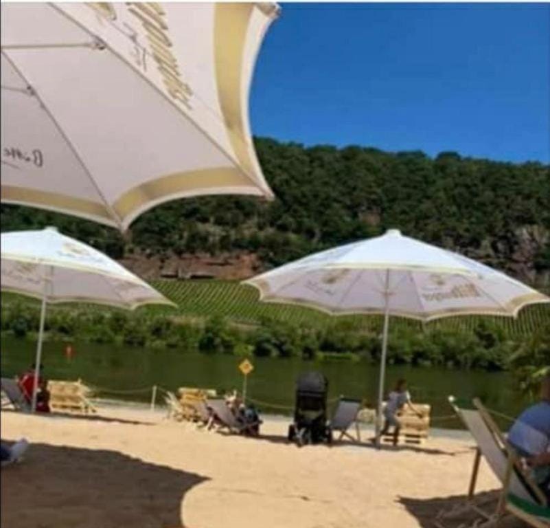 Cozy Central Apartment Hotel in Trier