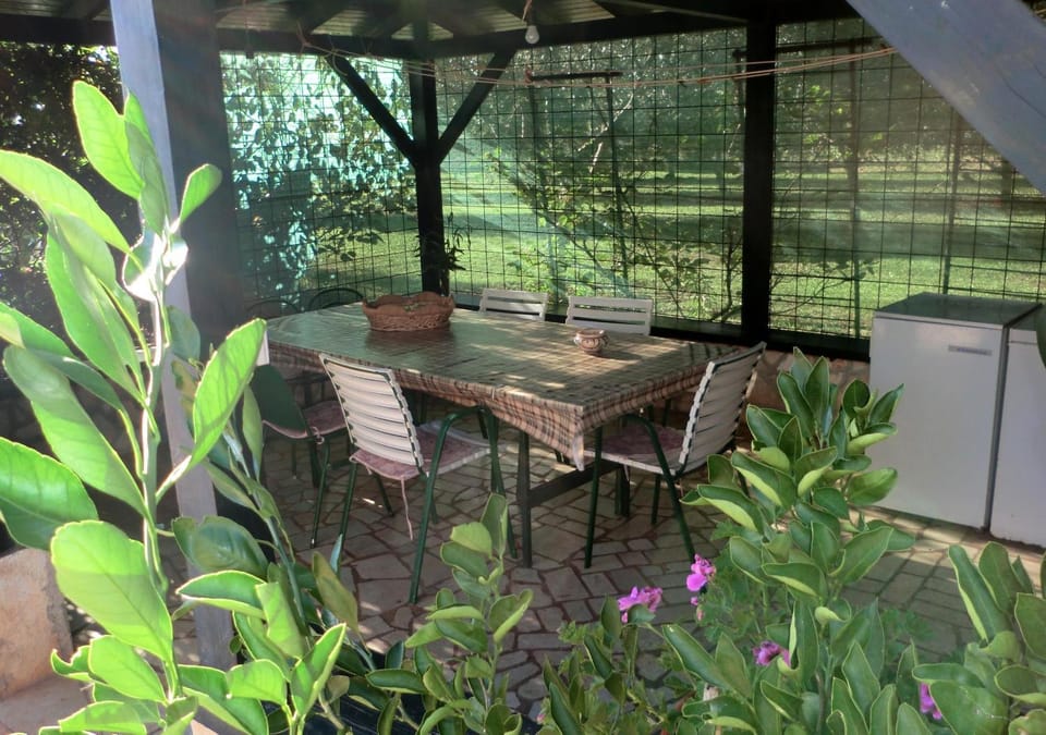 Patio, Garden