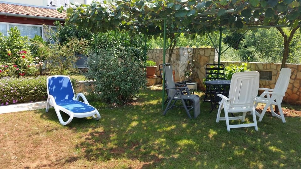 Garden, Garden view, sunbed