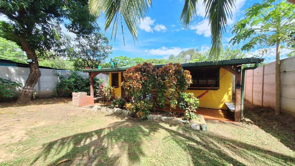 Property building, Garden, Garden view