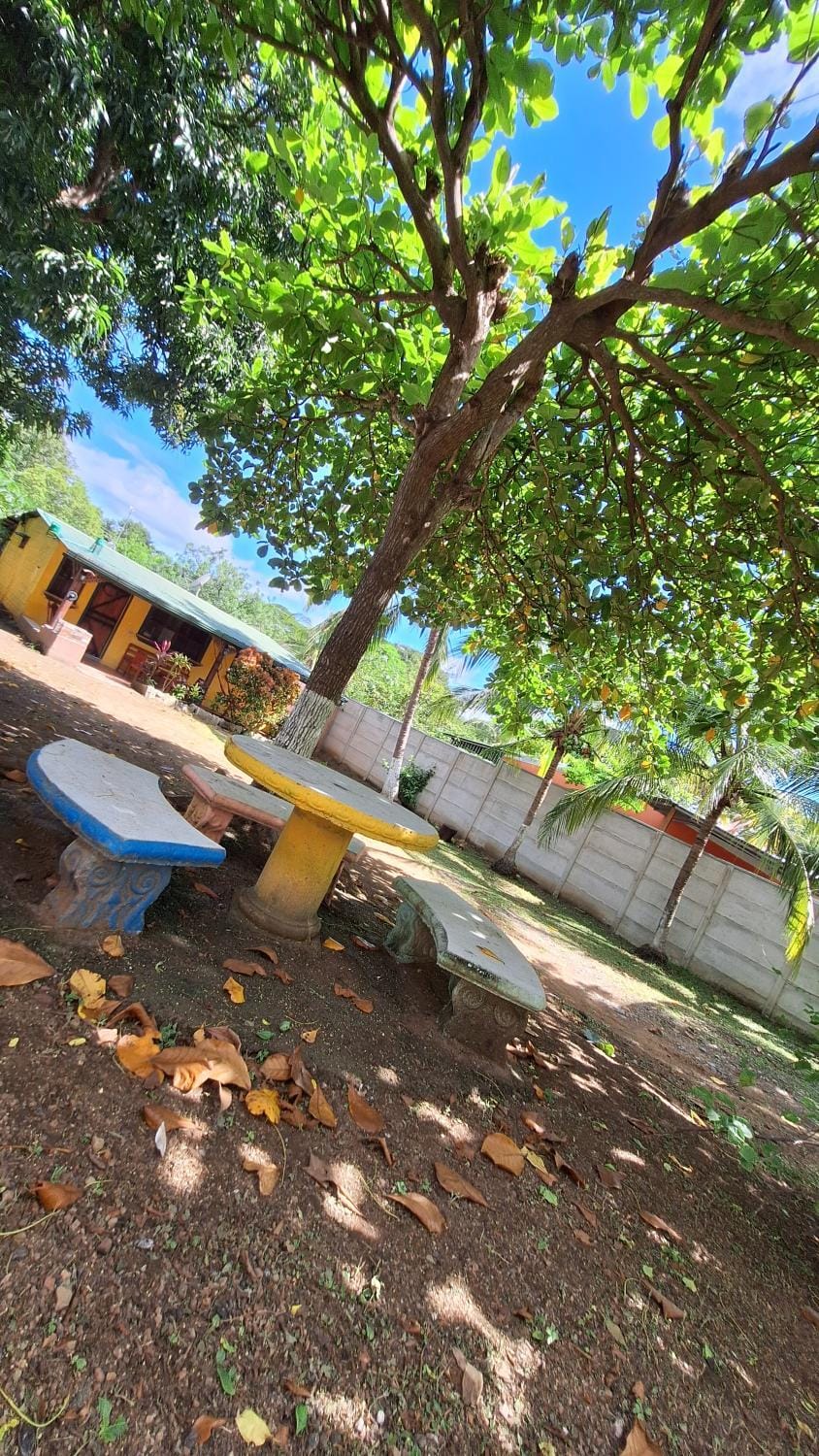 Day, Garden