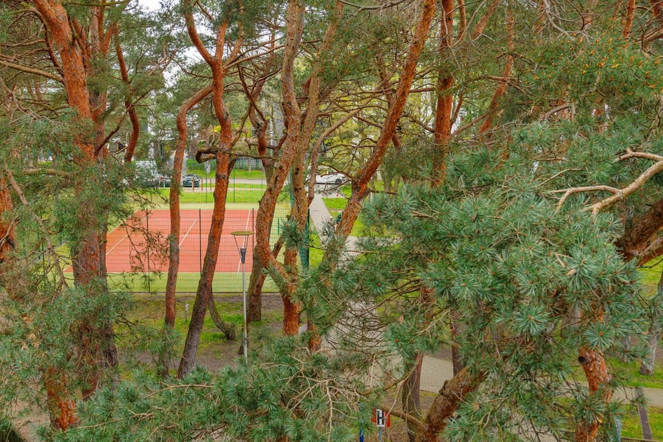 Natural landscape, Garden, Garden view