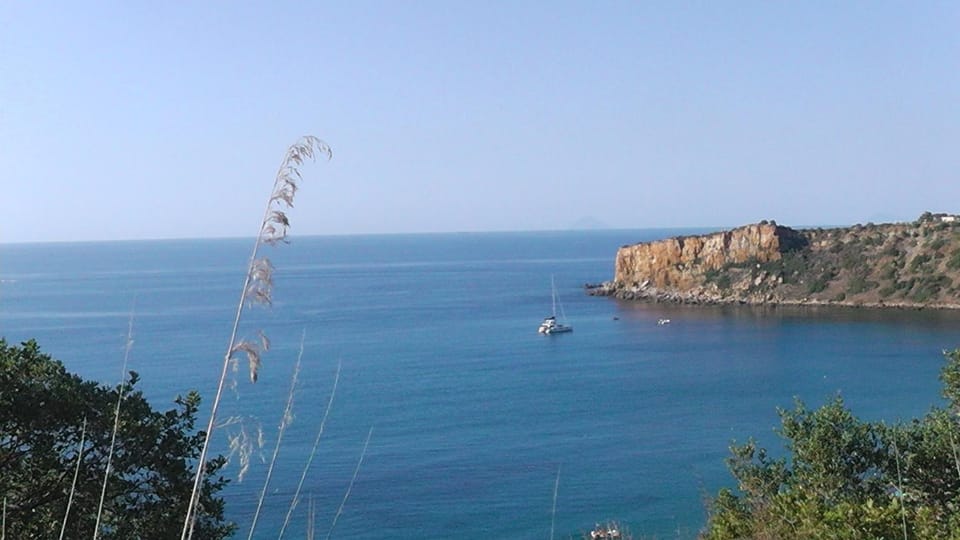 Natural landscape