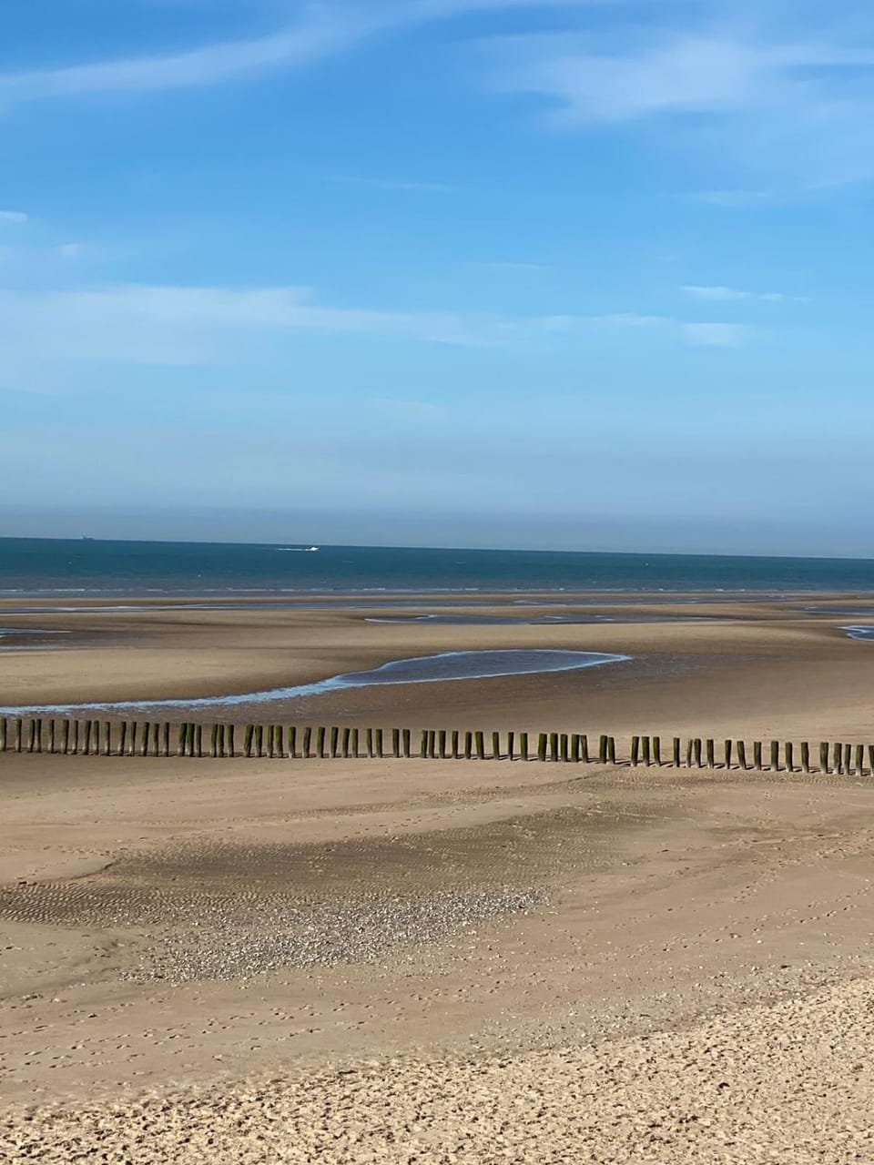 Au pied du Cap, les pieds dans l'eau House in France