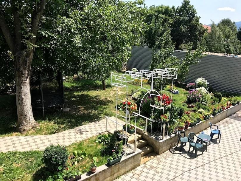 Garden, Garden, Garden view