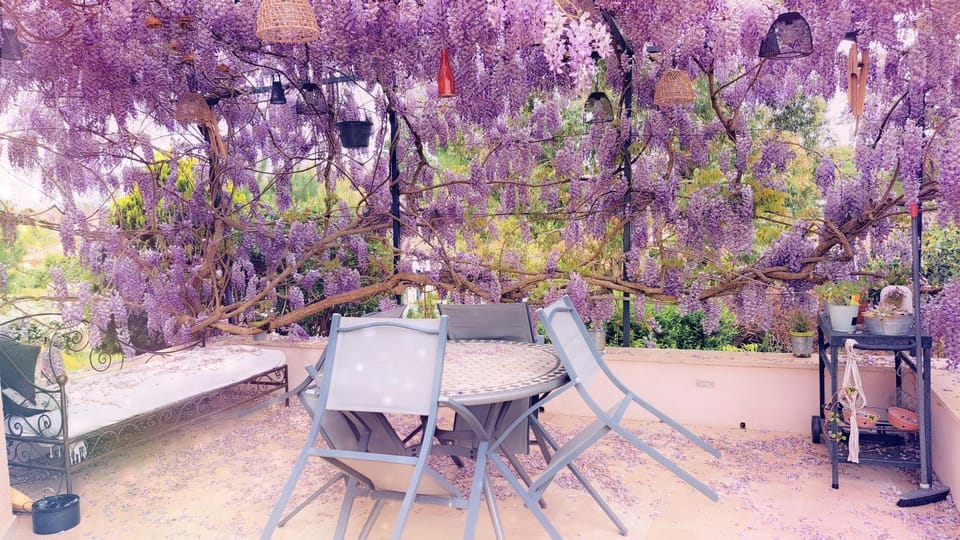 La Tropézienne Vacation rental in Occitanie