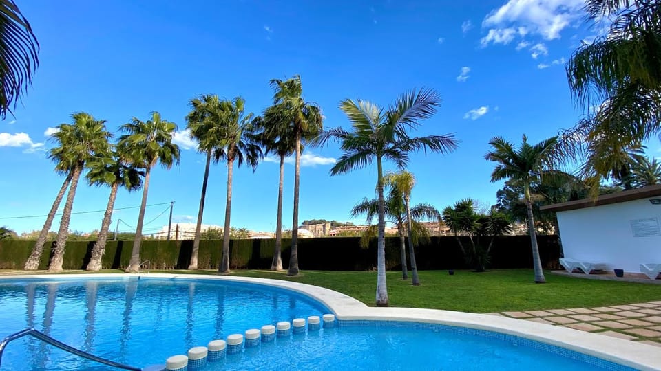 Day, Garden, Swimming pool