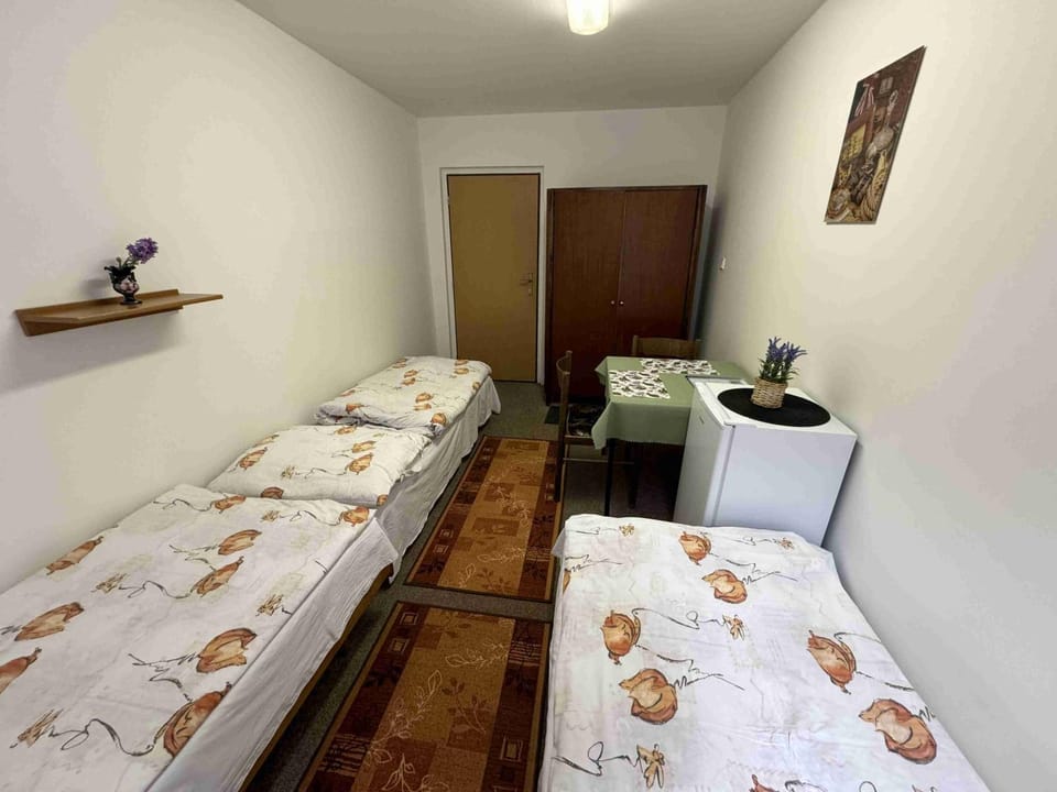 Ubytovna Český Krumlov Bed and Breakfast in Cesky Krumlov
