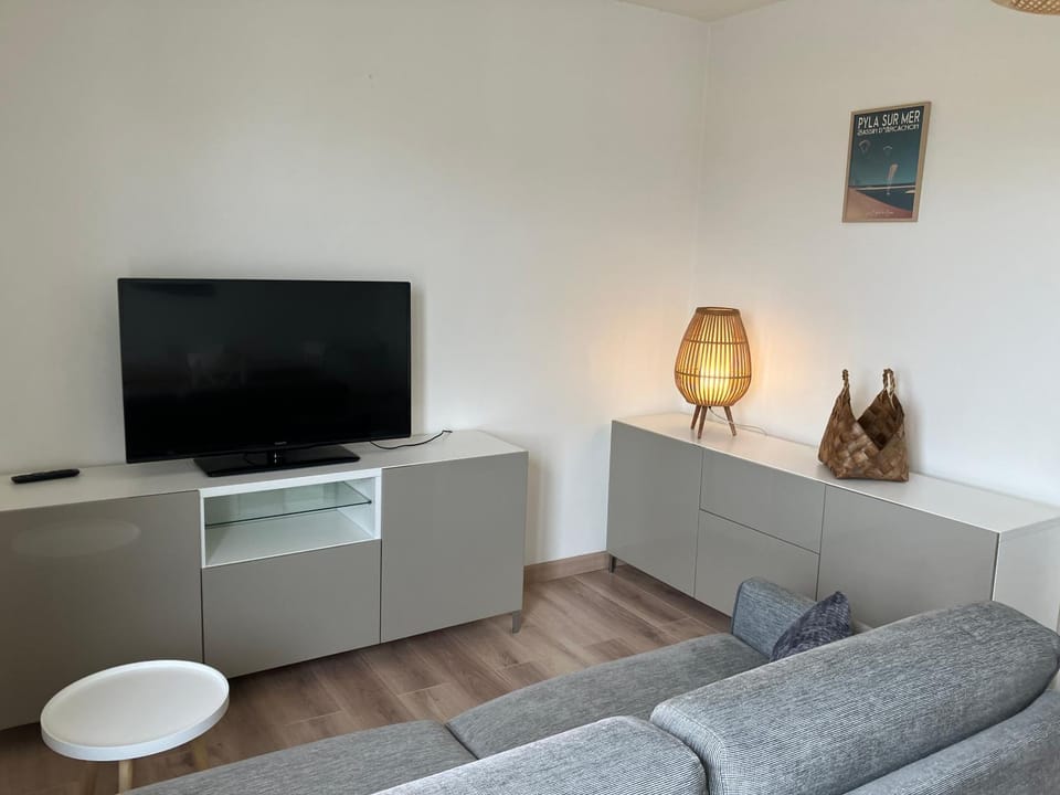 TV and multimedia, Living room
