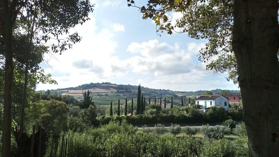 Natural landscape, View (from property/room)