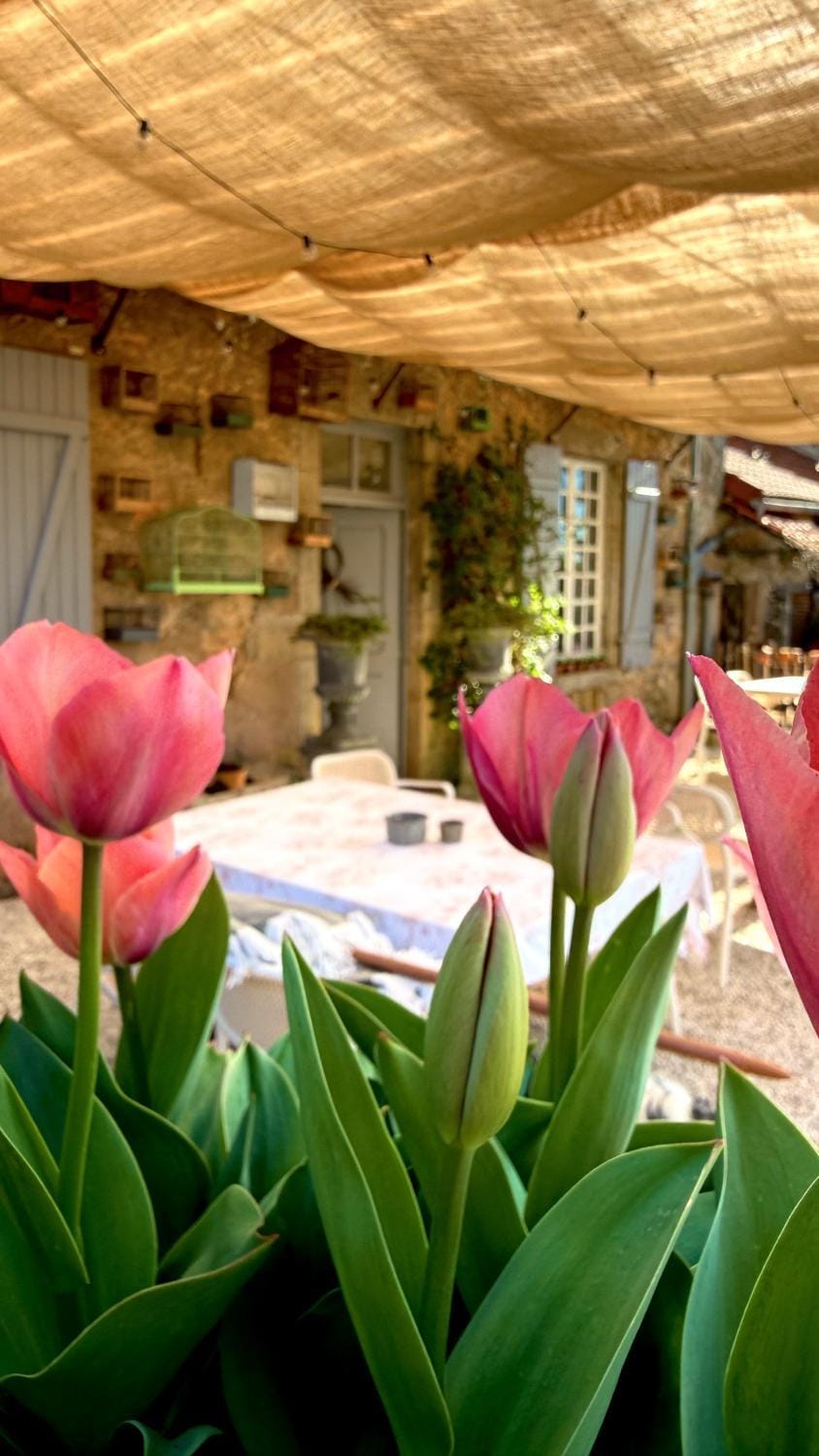 Property building, Balcony/Terrace