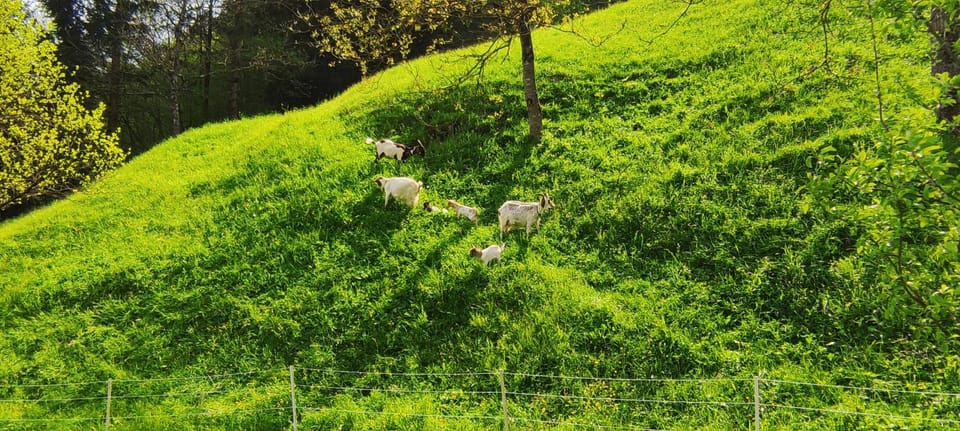 Day, Natural landscape