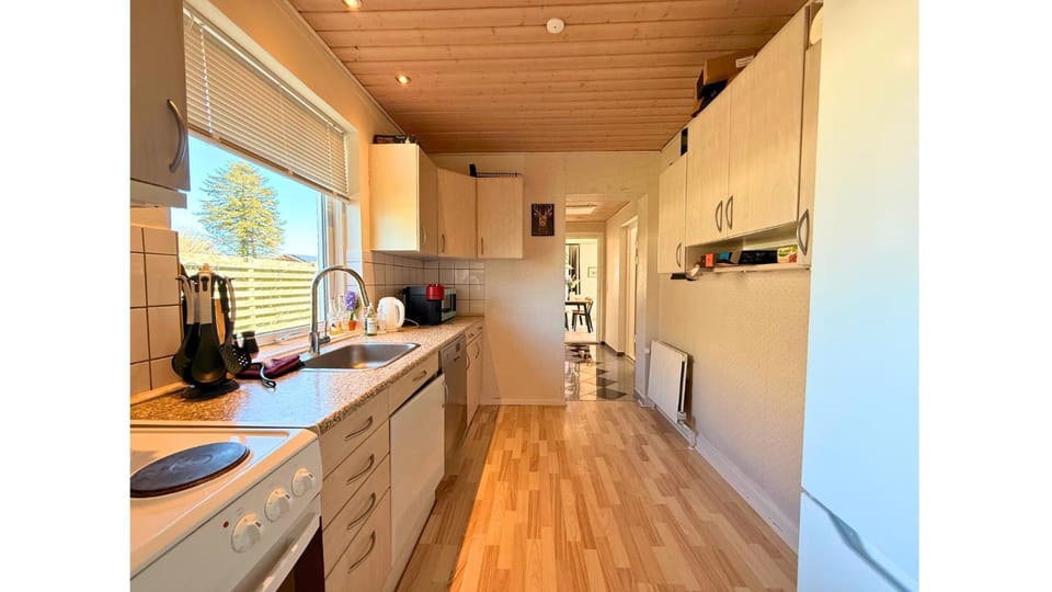 Kitchen or kitchenette, kitchen